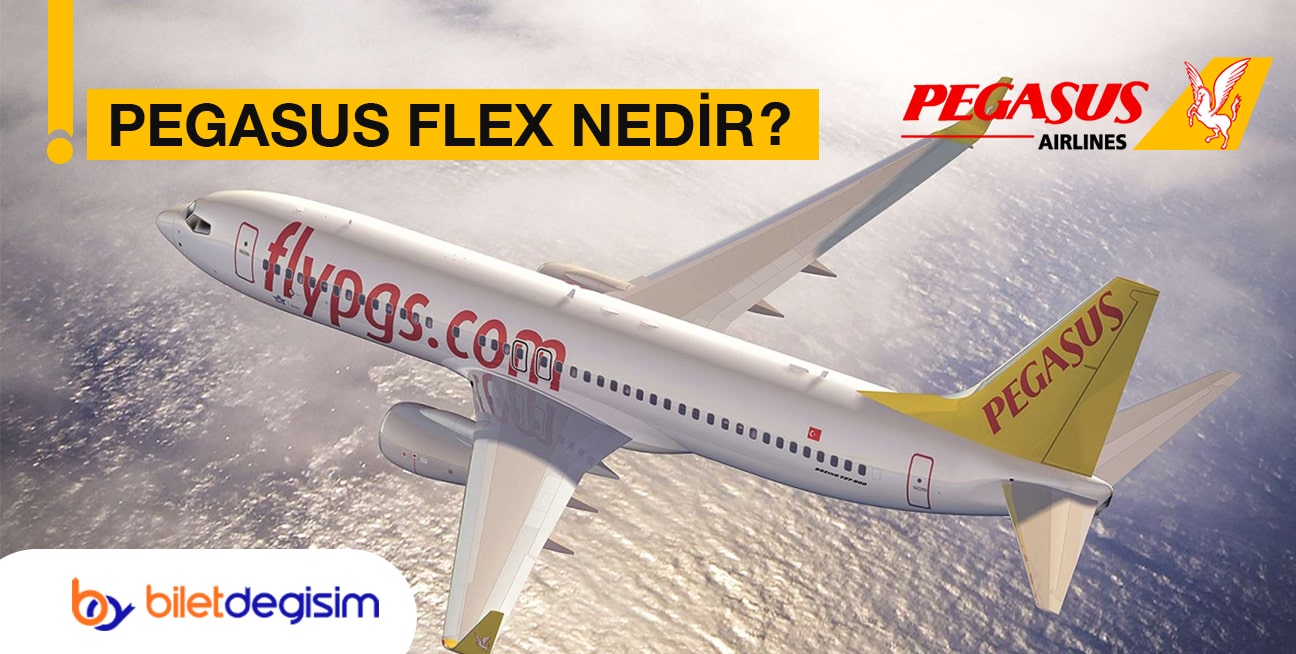 Pegasus Flex nedir?