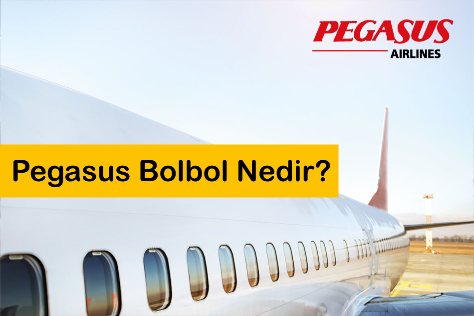 Pegasus Bolbol Nedir?